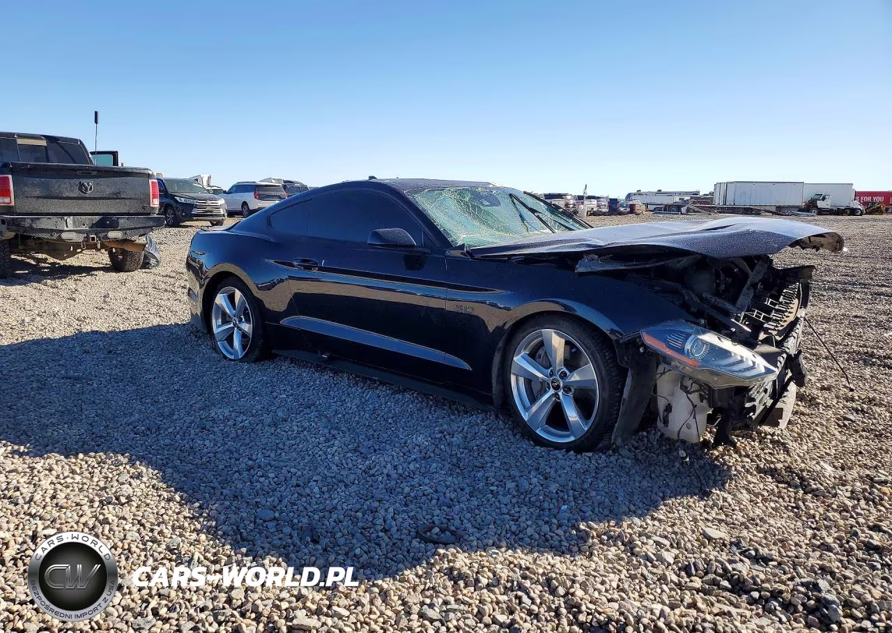 2021 Ford Mustang Gt VIN:1FA6P8CF0M5156476 - 4