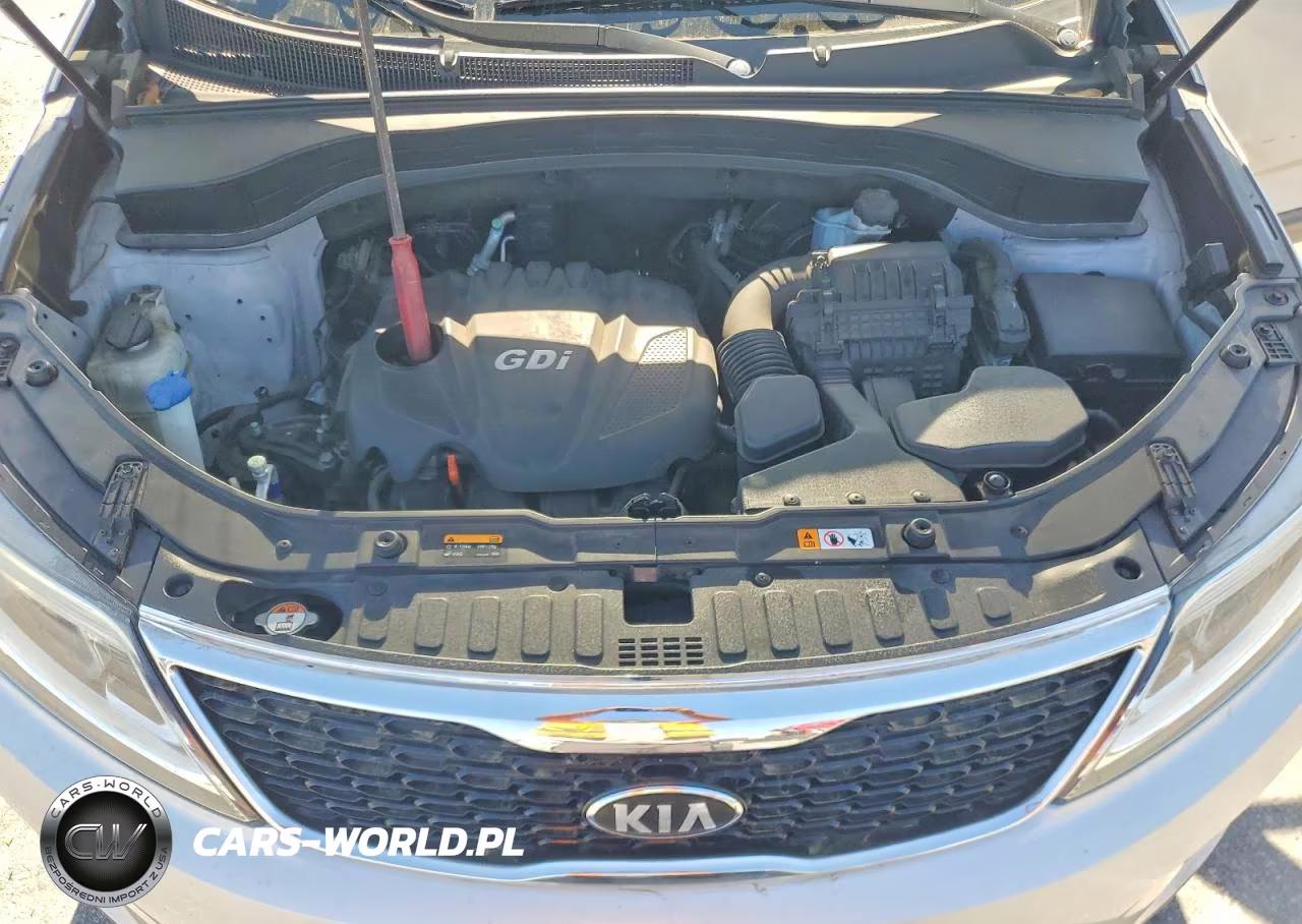 2014 Kia Sorento Lx VIN:5XYKT3A69EG471926 - 12