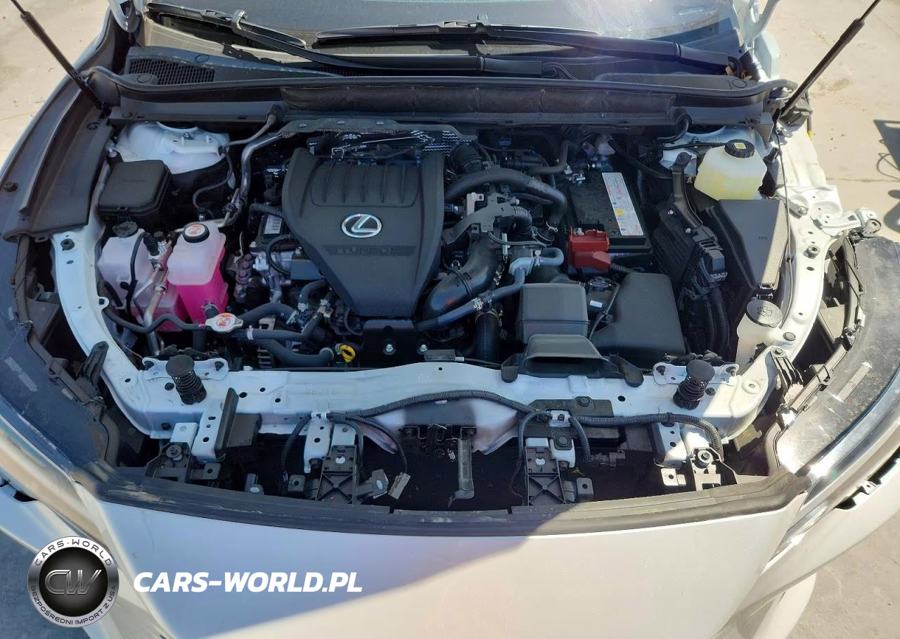 2025 Lexus Rx 350 Premium VIN:JTJCHMAA6S2033979 - 12
