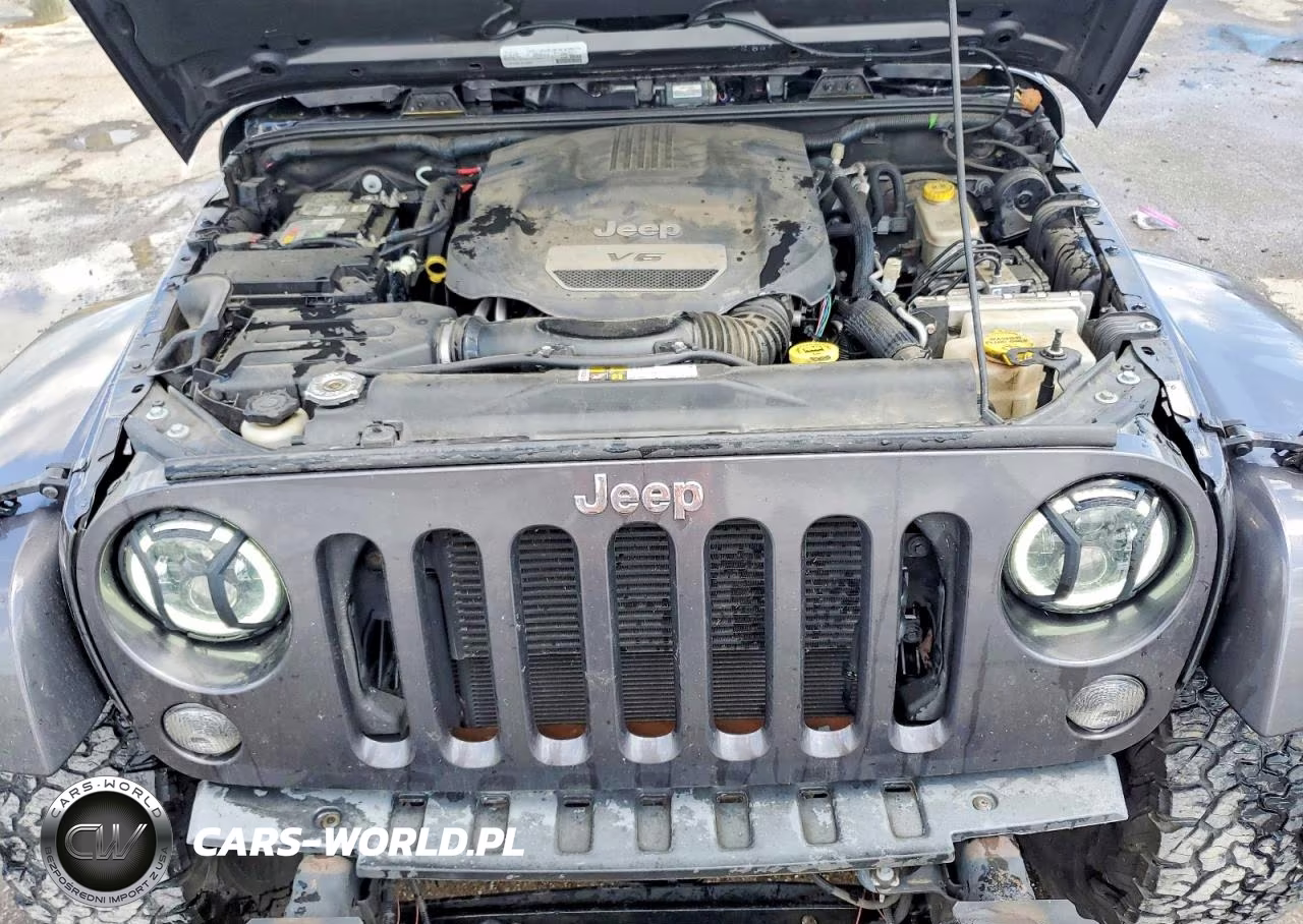 2016 Jeep Wrangler Unlimited Rubicon VIN:1C4BJWFGXGL290639 - 12