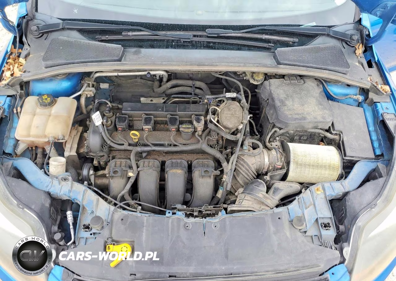 2014 Ford Focus Titanium VIN:1FADP3N22EL109161 - 11
