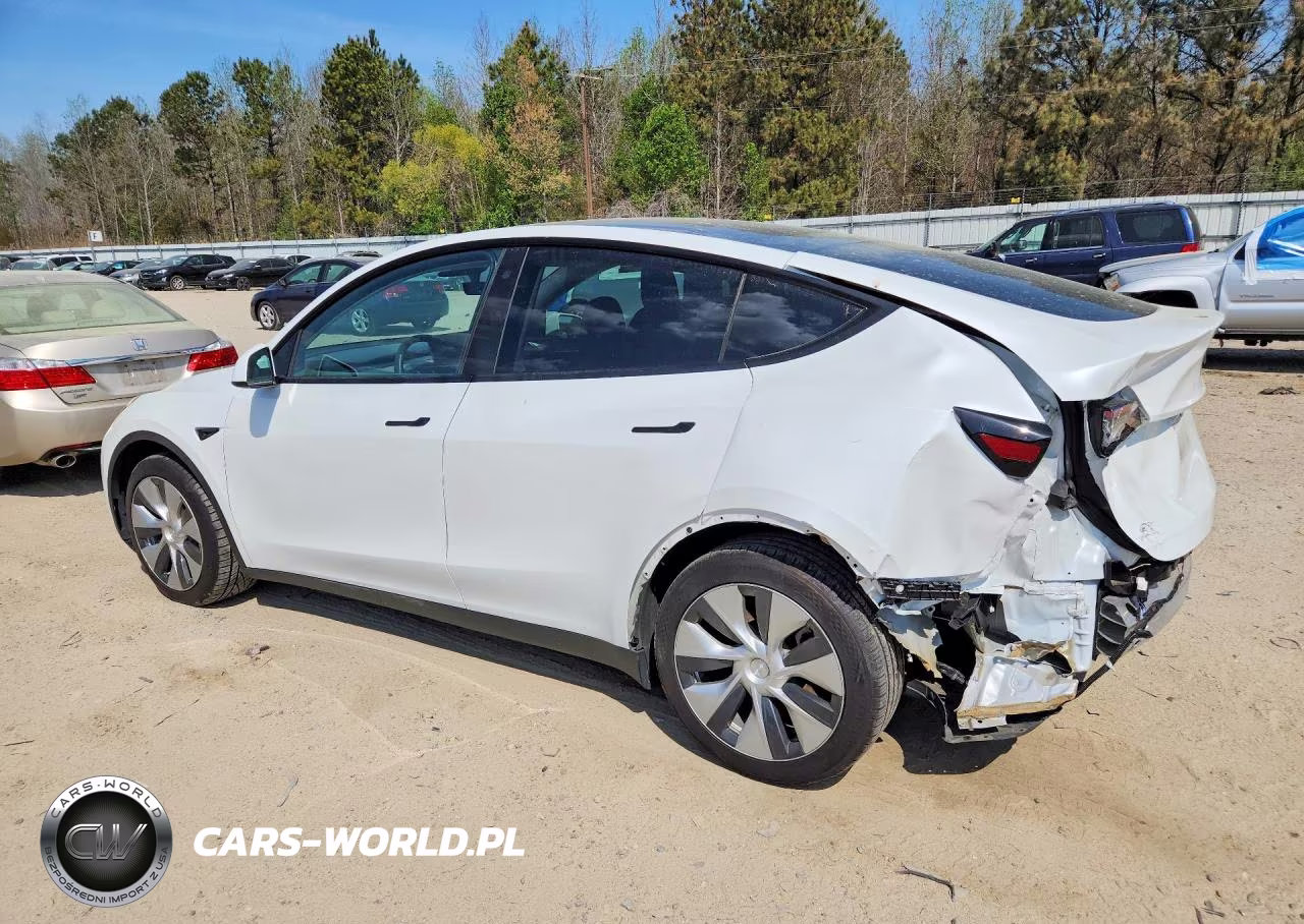 2023 Tesla Model Y VIN:7SAYGAEE6PF599137 - 2