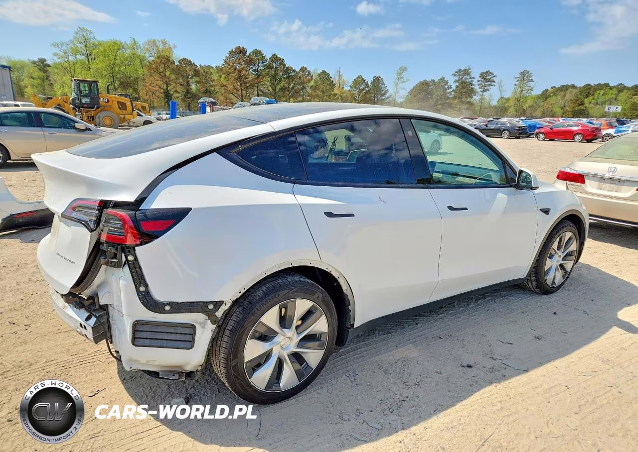 2023 Tesla Model Y VIN:7SAYGAEE6PF599137 - 3