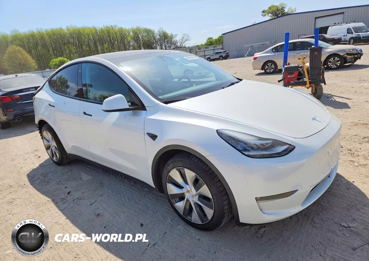 2023 Tesla Model Y VIN:7SAYGAEE6PF599137 - 4