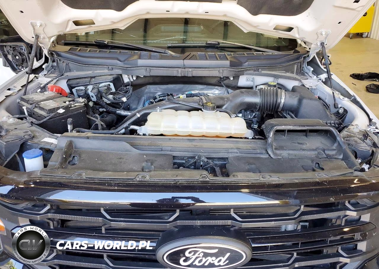 2024 Ford F150 Xlt VIN:1FTEW3KP6RKD97201 - 11