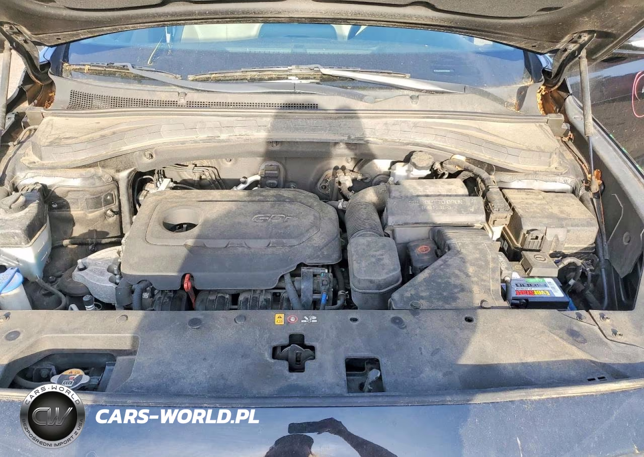 2019 Hyundai Santa Fe Limited 2.4L VIN:5NMS53AD9KH051982 - 11