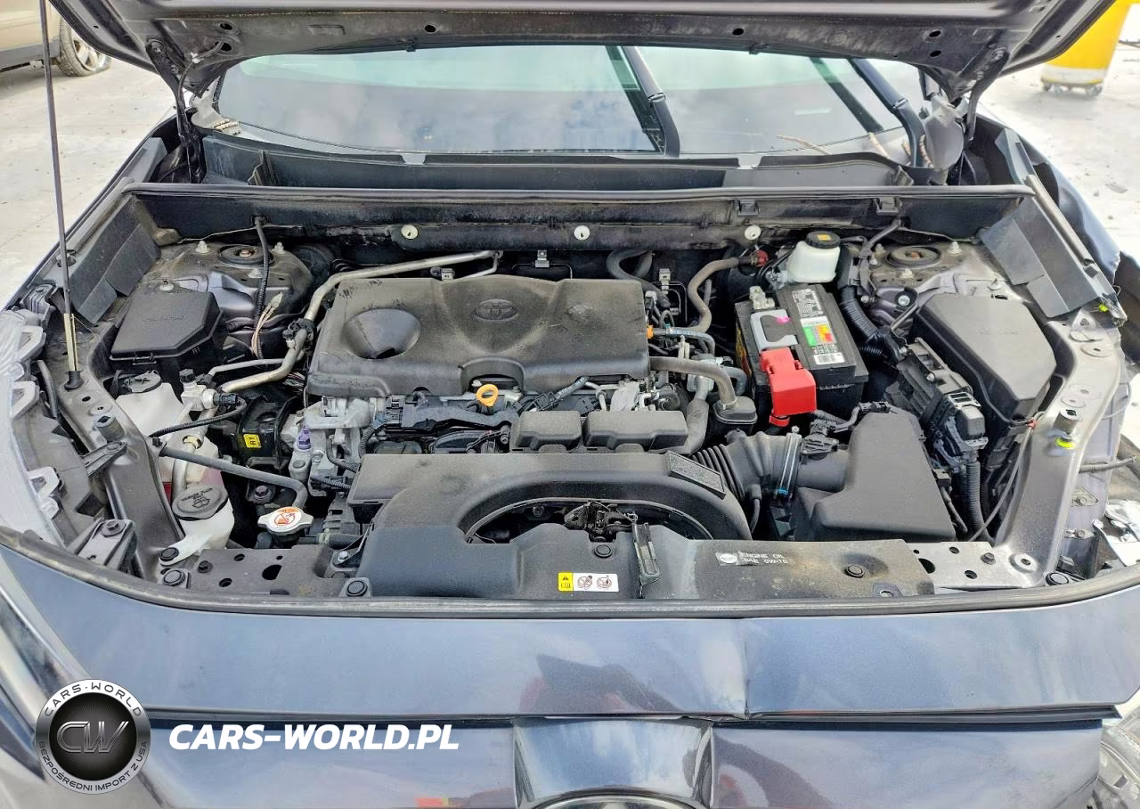 2019 Toyota Rav4 Le VIN:2T3H1RFV4KC027337 - 12