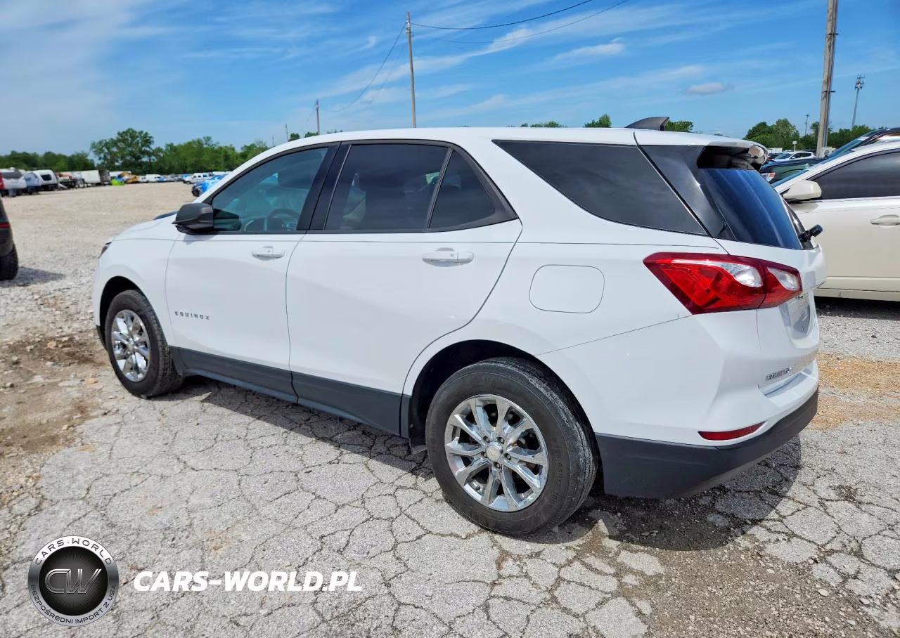 2019 Chevrolet Equinox Ls VIN:3GNAXSEV3KS660293 - 2