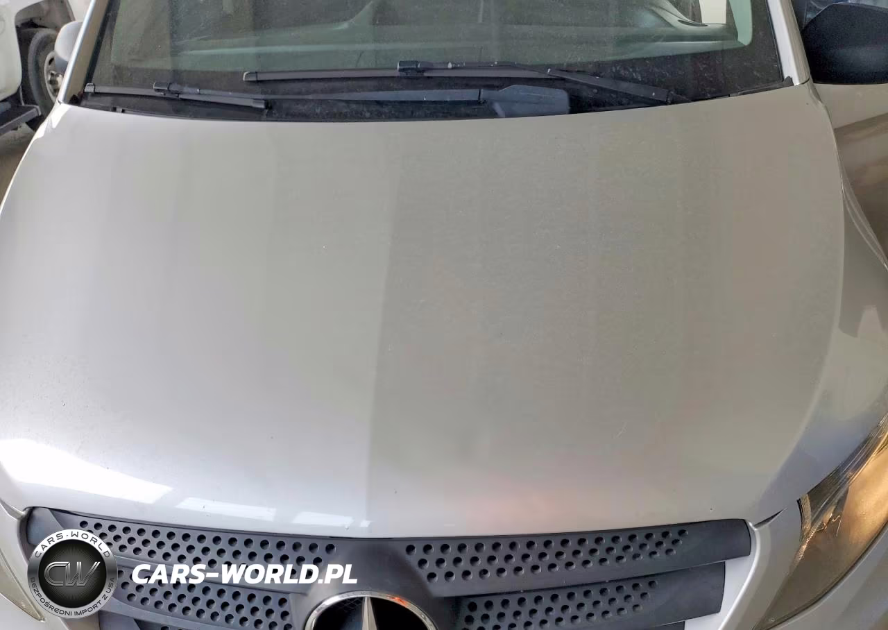 2016 Mercedes-Benz Metris VIN:WD4PG2EE0G3096964 - 12