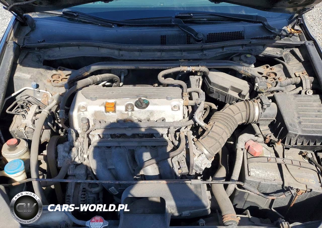 2010 Honda Accord Exl VIN:1HGCS1B84AA005232 - 11