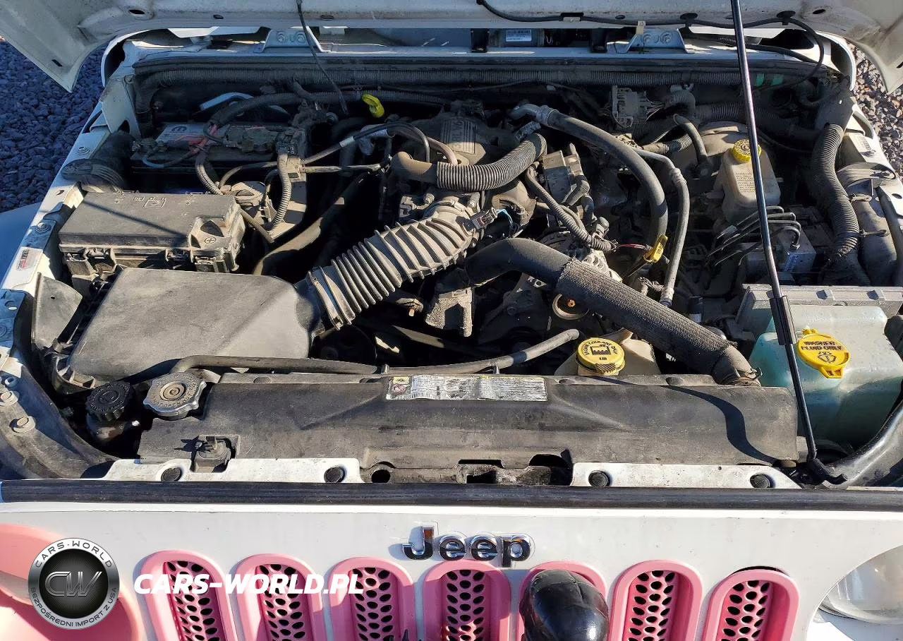 2011 Jeep Wrangler Sport VIN:1J4AA2D17BL619576 - 11