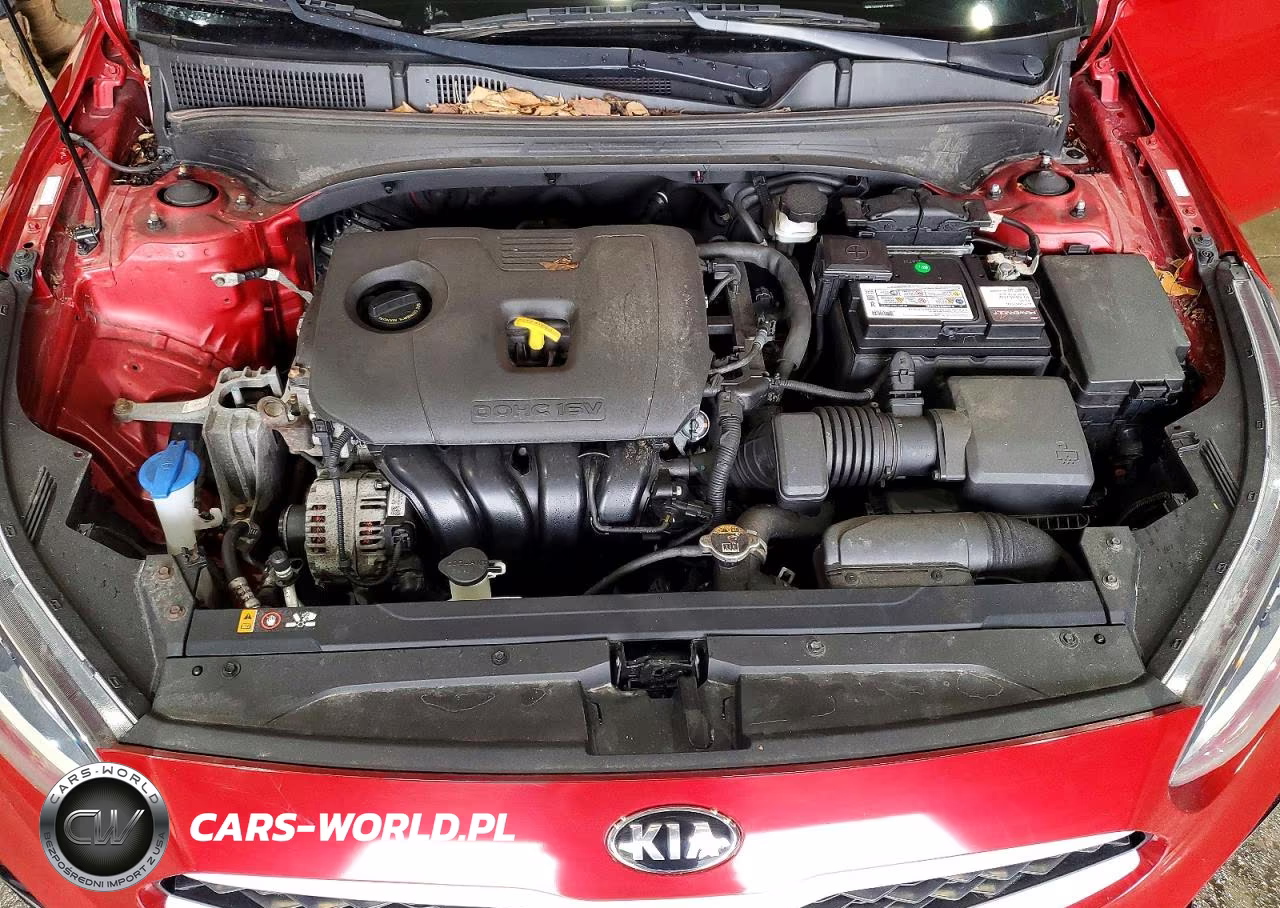 2019 Kia Forte Lxs VIN:3KPF24AD0KE124390 - 11
