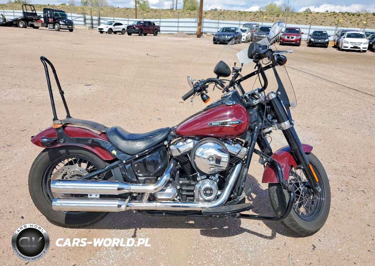 2020 Harley Davidson Flsl