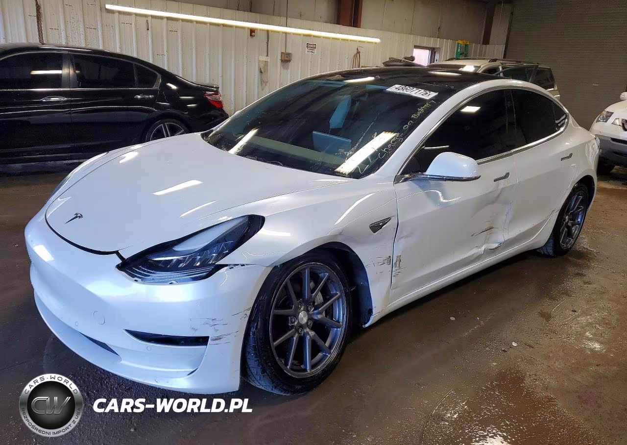 2019 Tesla Model 3