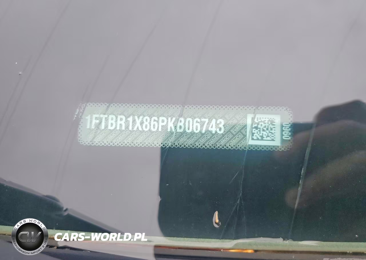 2023 Ford Transit 250 Delivery Van VIN:1FTBR1X86PKB06743 - 13