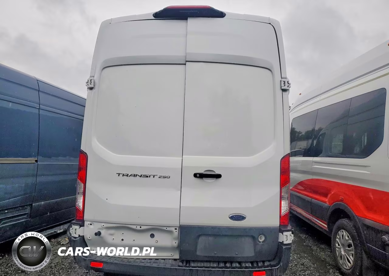 2023 Ford Transit 250 Delivery Van VIN:1FTBR1X86PKB06743 - 6
