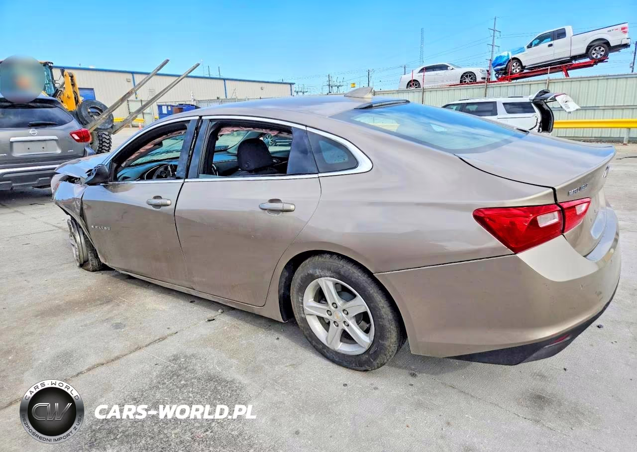 2024 Chevrolet Malibu Fwd 1Lt VIN:1G1ZD5ST2RF106825 - 2