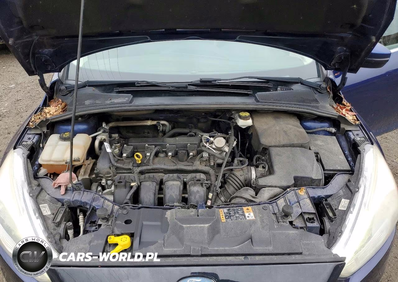 2017 Ford Focus Titanium VIN:1FADP3N25HL338616 - 11