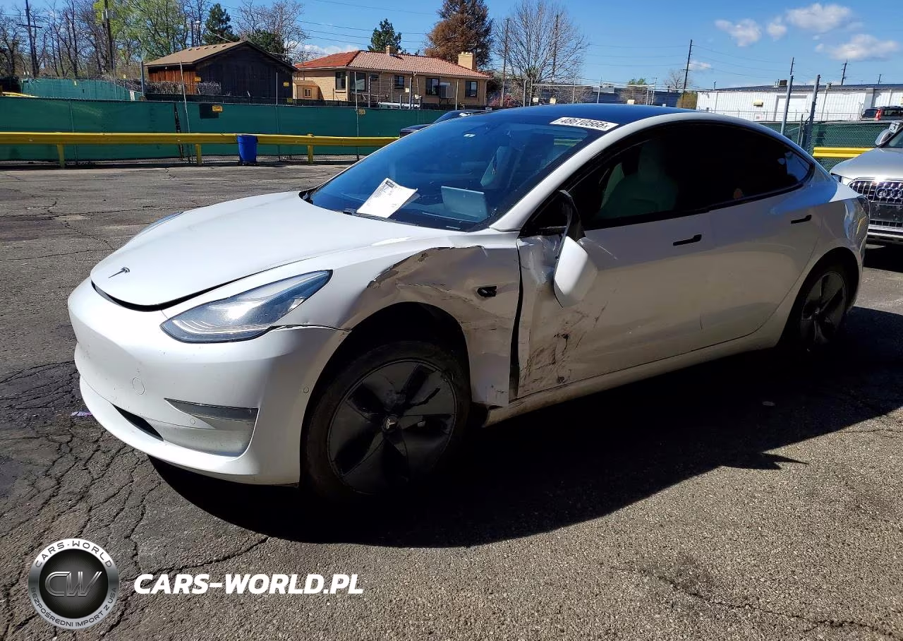 2019 Tesla Model 3