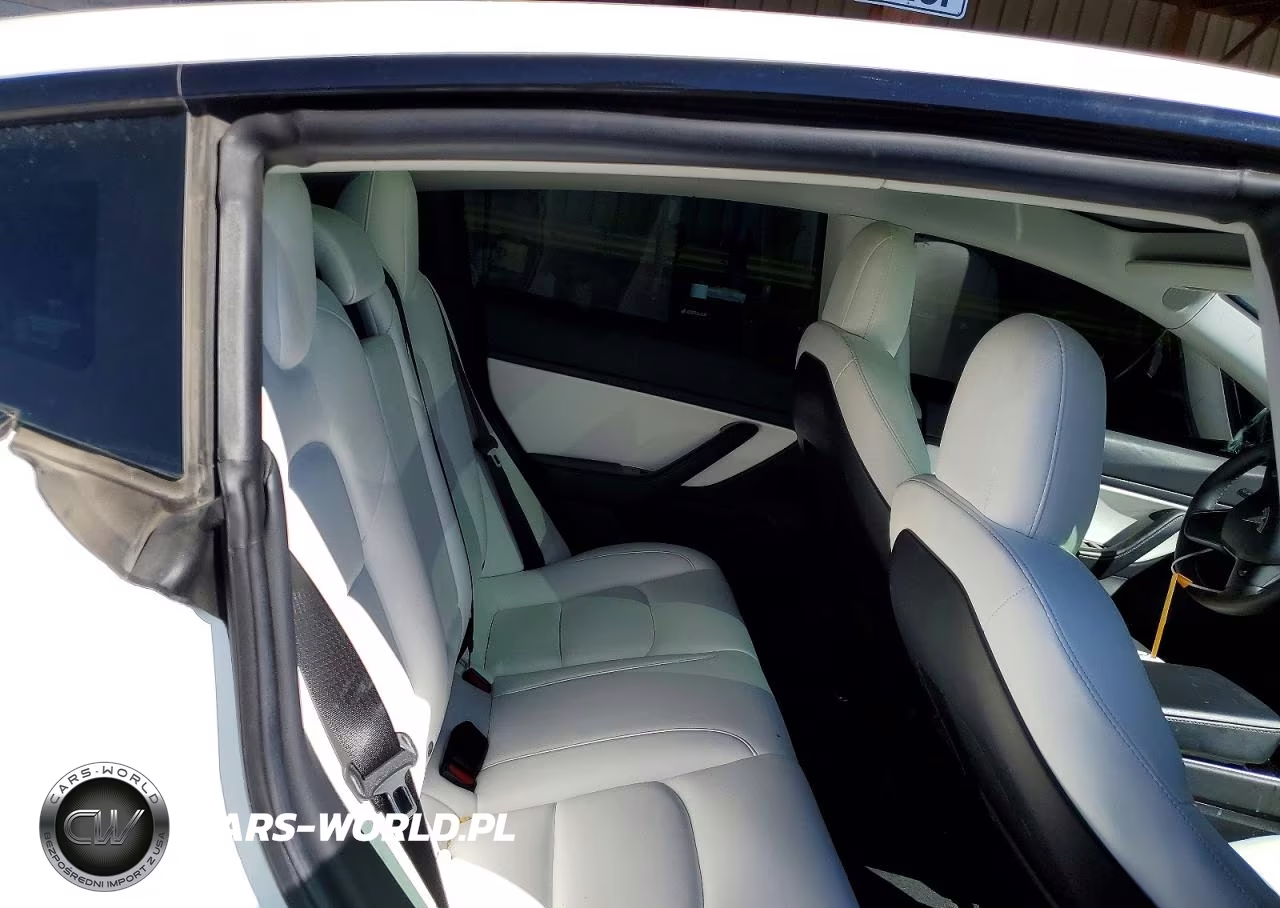 2019 Tesla Model 3 VIN:5YJ3E1EB8KF517727 - 10