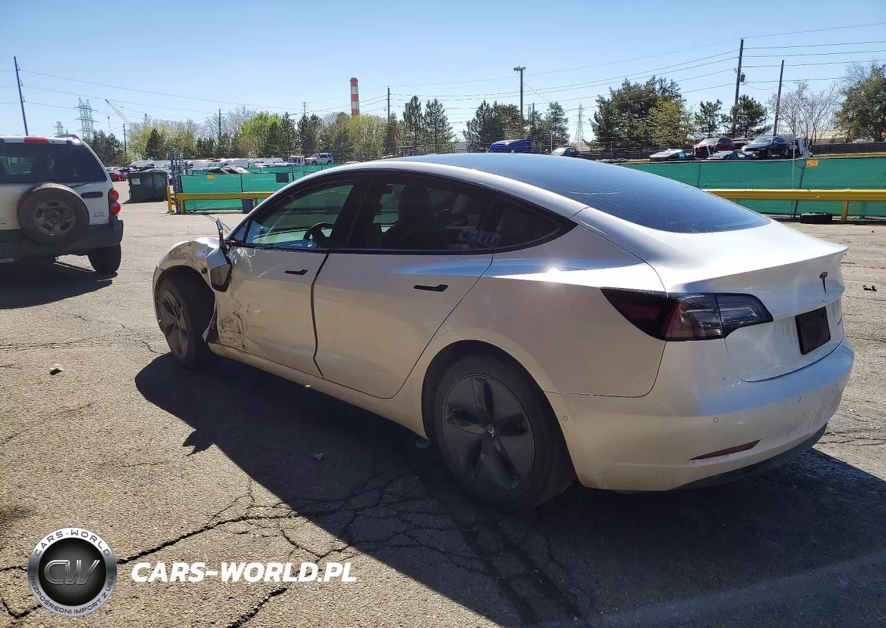 2019 Tesla Model 3 VIN:5YJ3E1EB8KF517727 - 2