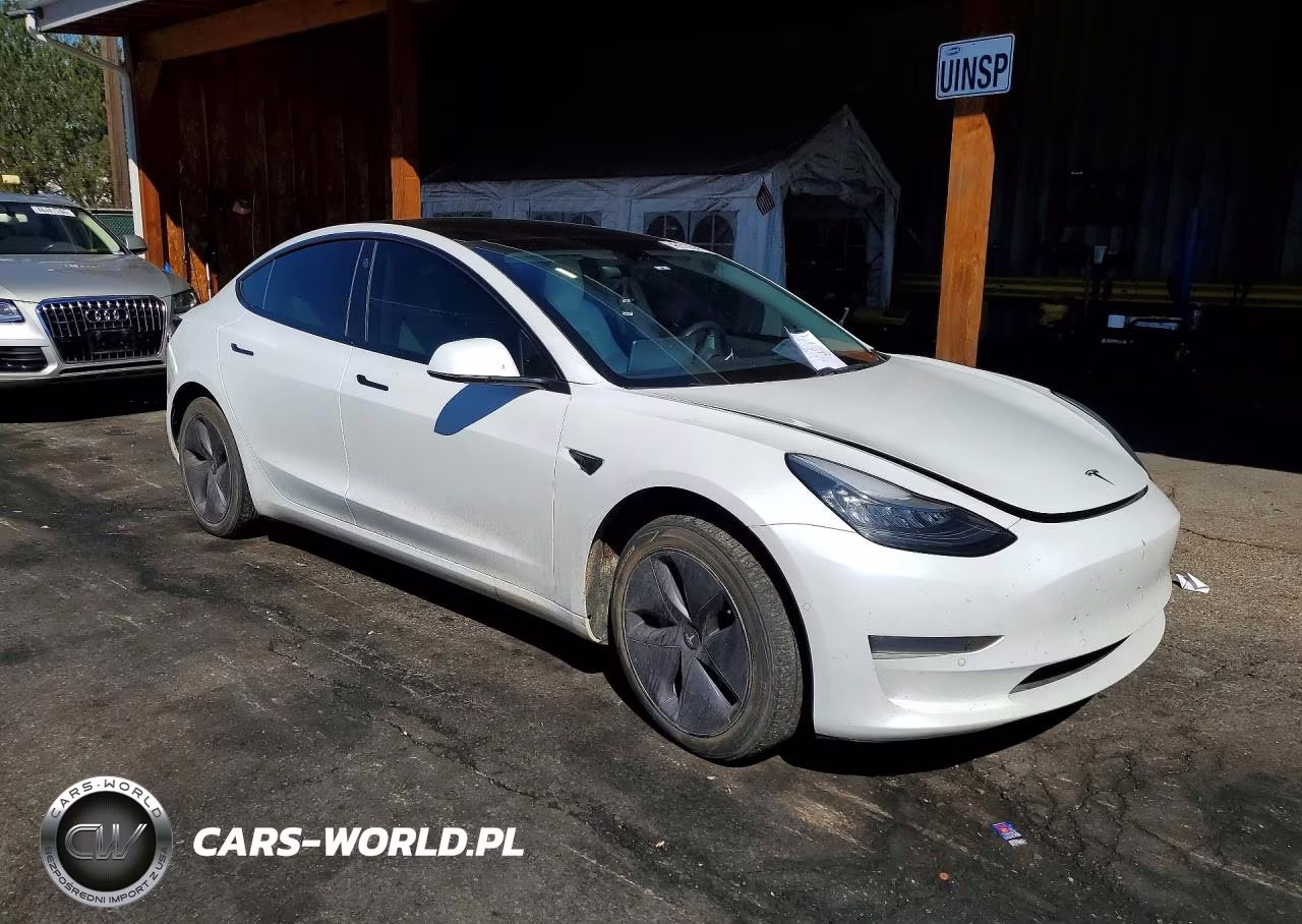 2019 Tesla Model 3 VIN:5YJ3E1EB8KF517727 - 4