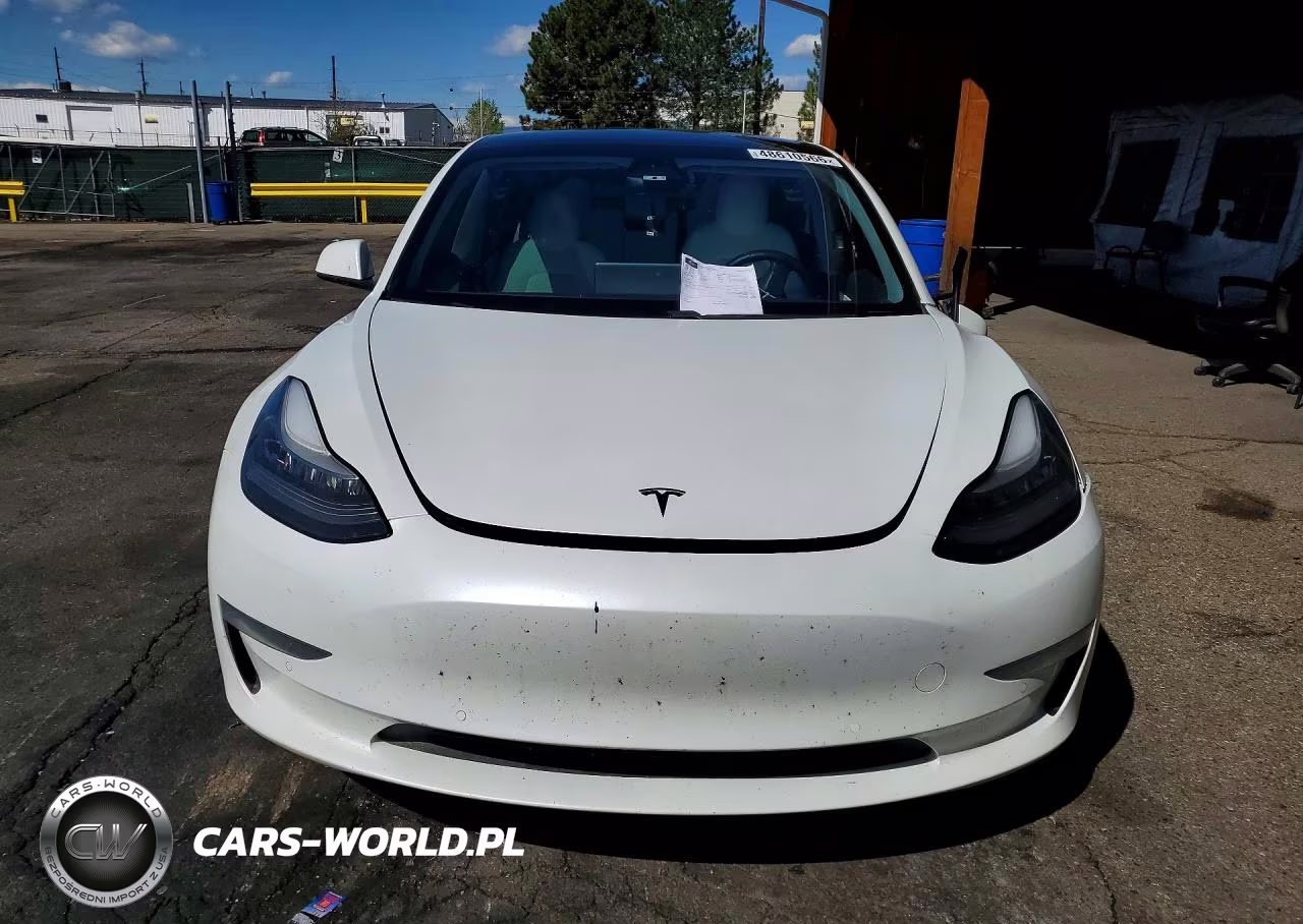 2019 Tesla Model 3 VIN:5YJ3E1EB8KF517727 - 5