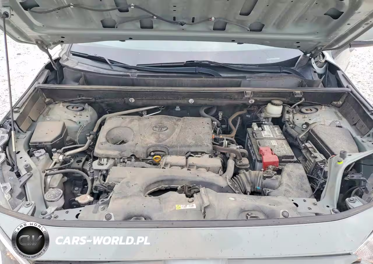 2019 Toyota Rav4 Xle VIN:JTMW1RFV0KD516532 - 12
