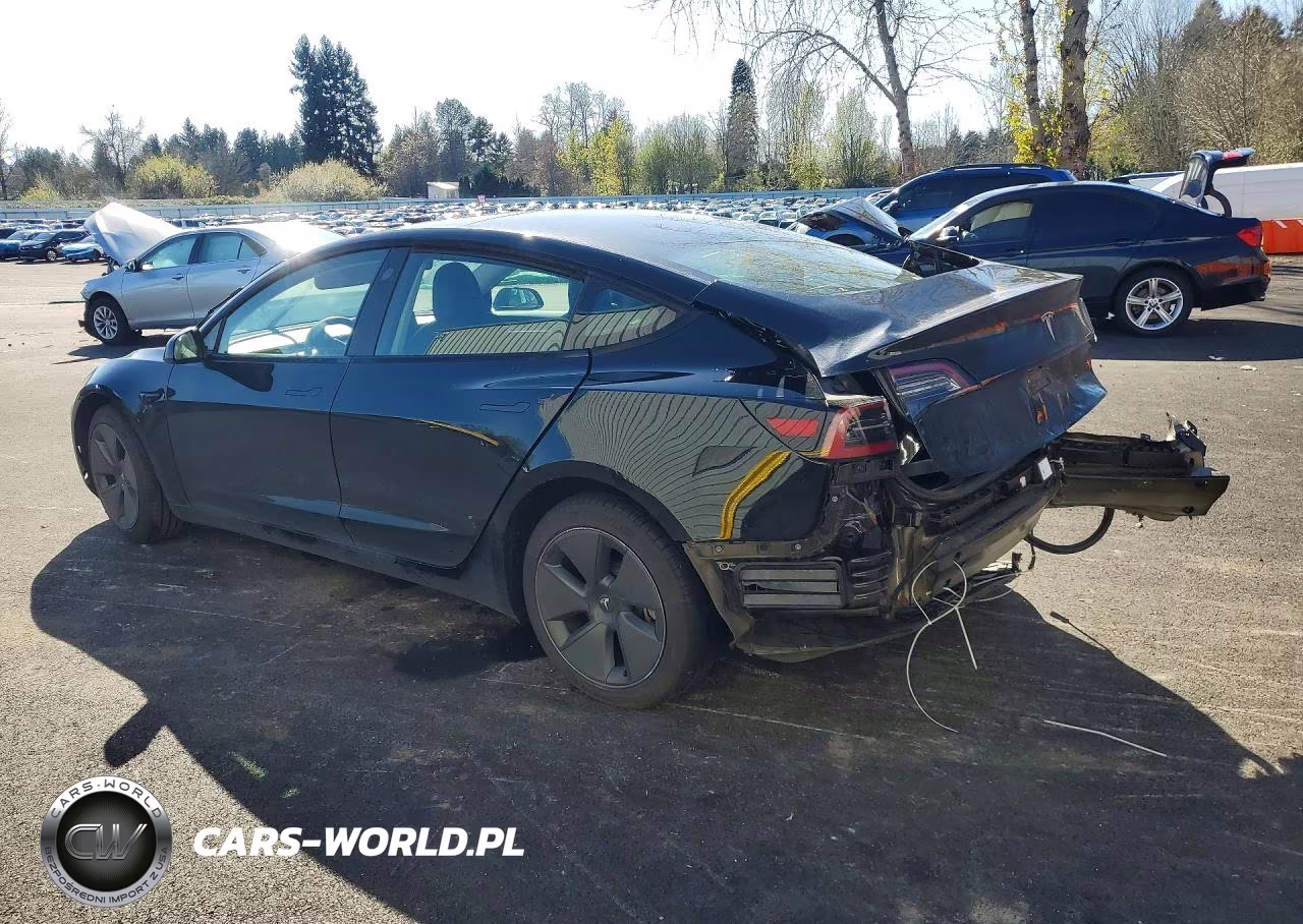 2023 Tesla Model 3 VIN:5YJ3E1EA4PF557379 - 2
