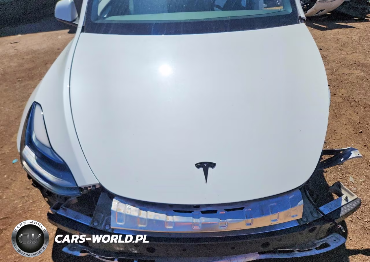 2023 Tesla Model Y VIN:7SAYGDEF6PF936786 - 11