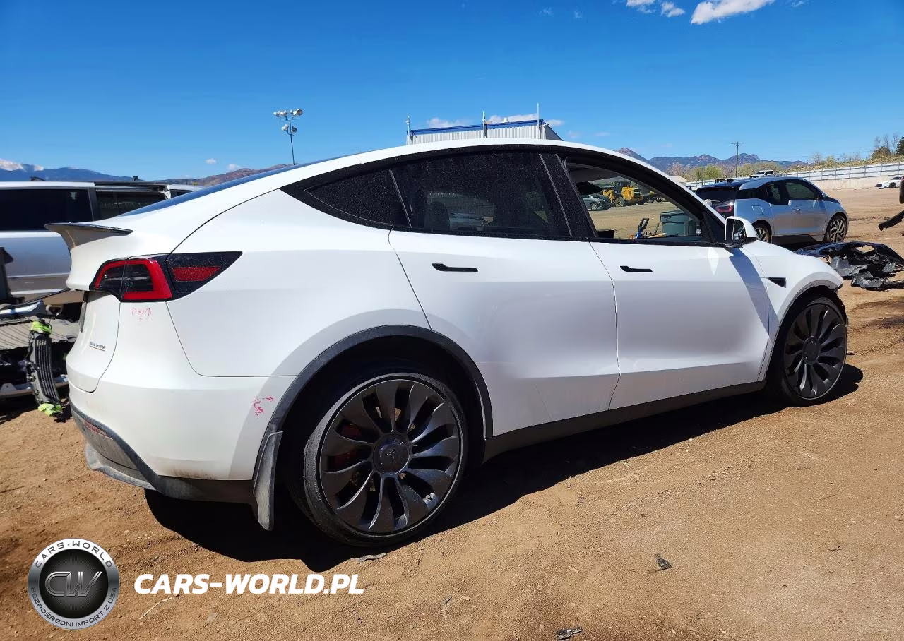 2023 Tesla Model Y VIN:7SAYGDEF6PF936786 - 3