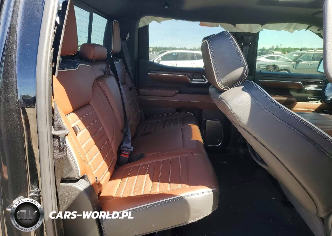 2025 GMC Sierra K1500 Denali Ultimate VIN:1GTUUHE80SZ274185 - 10