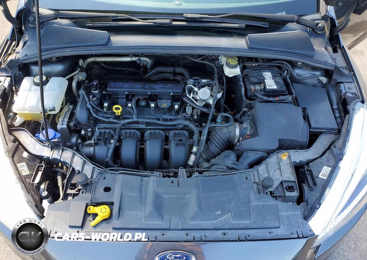 2017 Ford Focus Se VIN:1FADP3F23HL269911 - 11