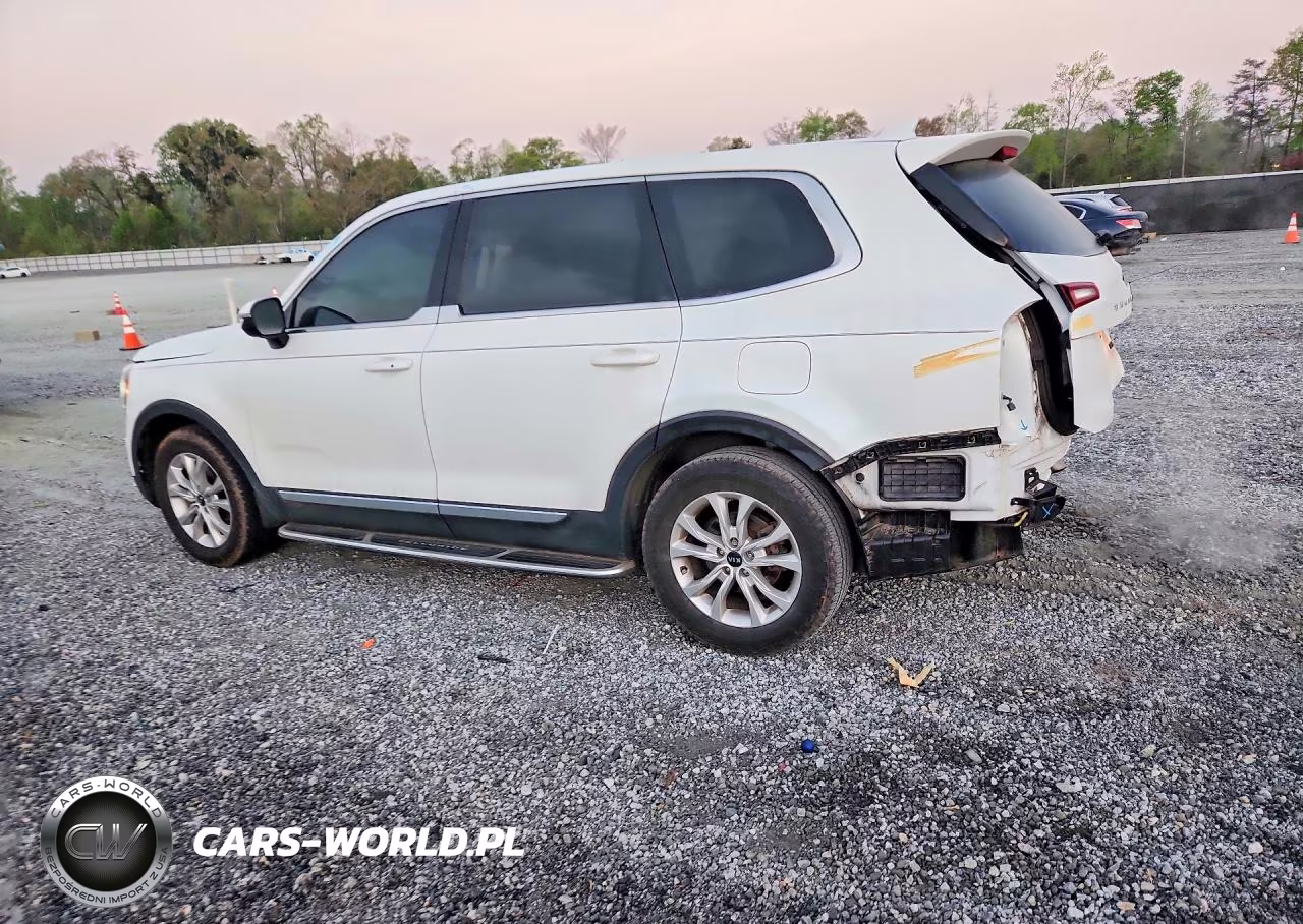 2021 Kia Telluride Lx VIN:5XYP24HC6MG107553 - 2