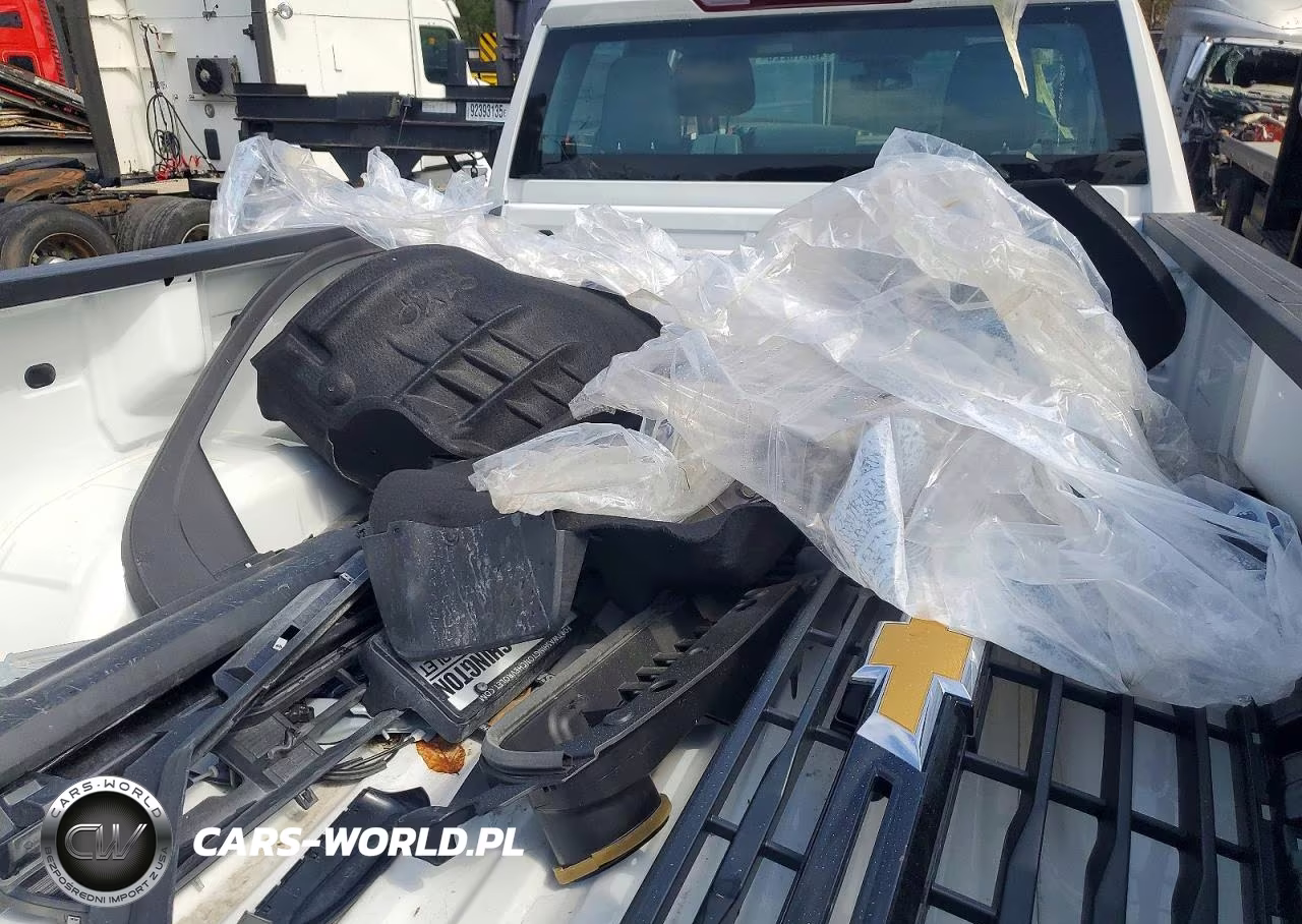 2024 Chevrolet Silverado C2500 Heavy Duty VIN:1GC5WLE79RF442121 - 10