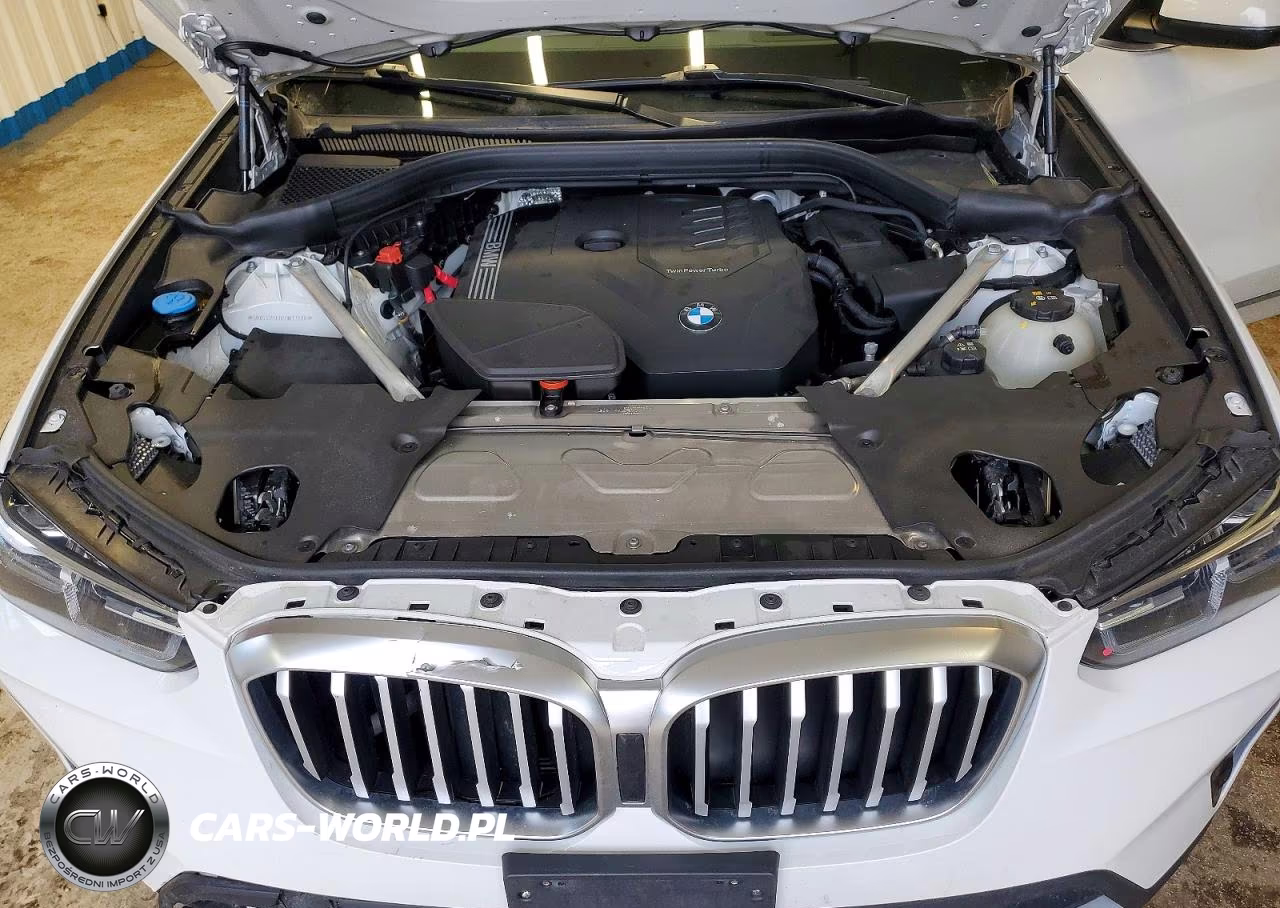 2024 BMW X3 xDrive30I VIN:5UX53DP00R9W23880 - 12