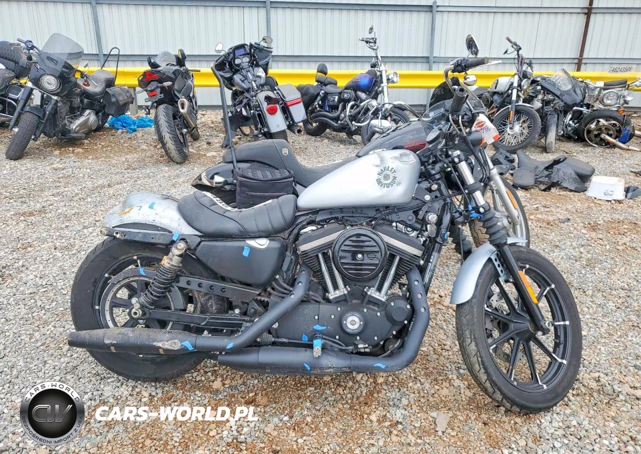 2020 Harley-Davidson Xl883 N