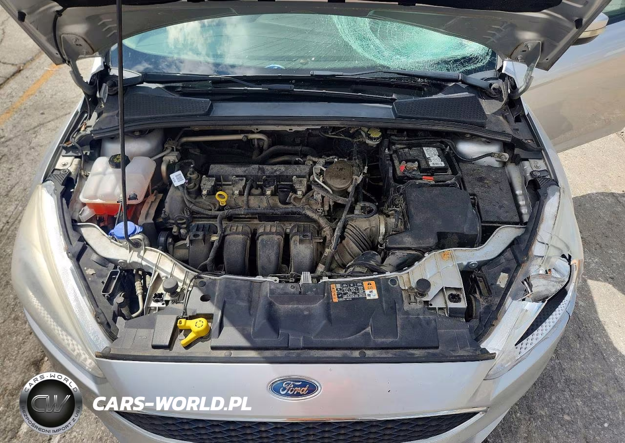 2016 Ford Focus Se VIN:1FADP3F25GL202998 - 11