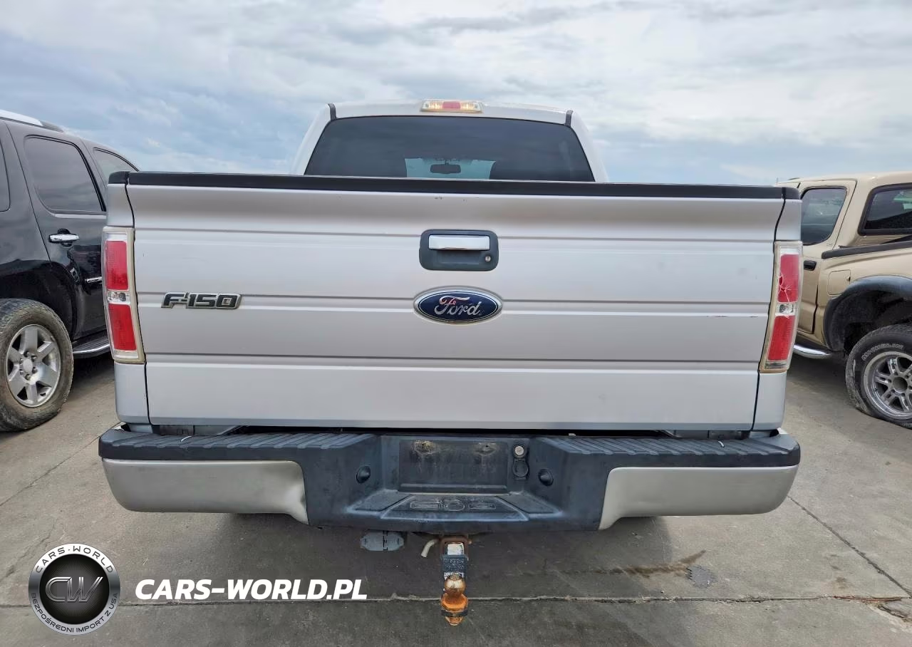 2010 Ford F150 Supercrew VIN:1FTEW1C88AKE74652 - 6