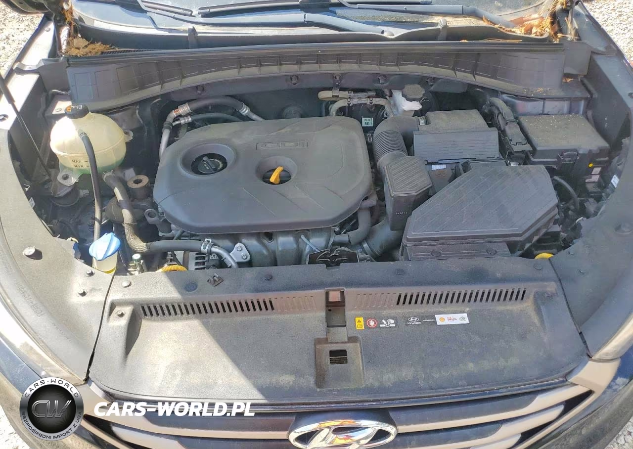 2016 Hyundai Tucson Se VIN:KM8J33A49GU195044 - 12