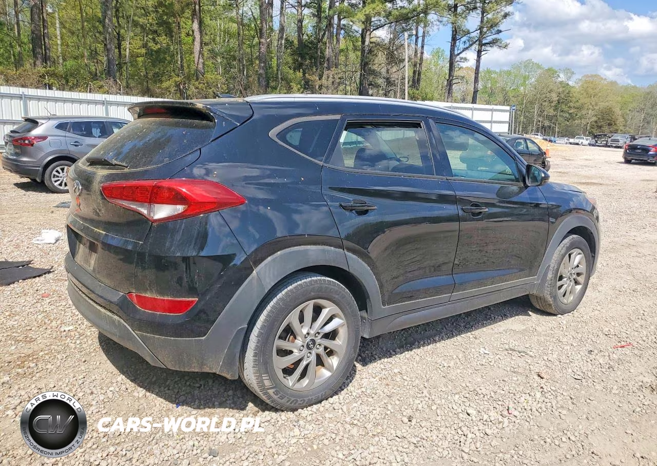 2016 Hyundai Tucson Se VIN:KM8J33A49GU195044 - 3