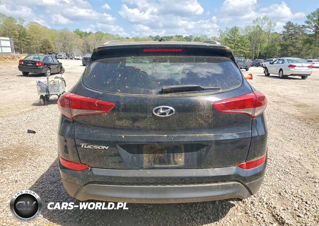 2016 Hyundai Tucson Se VIN:KM8J33A49GU195044 - 6