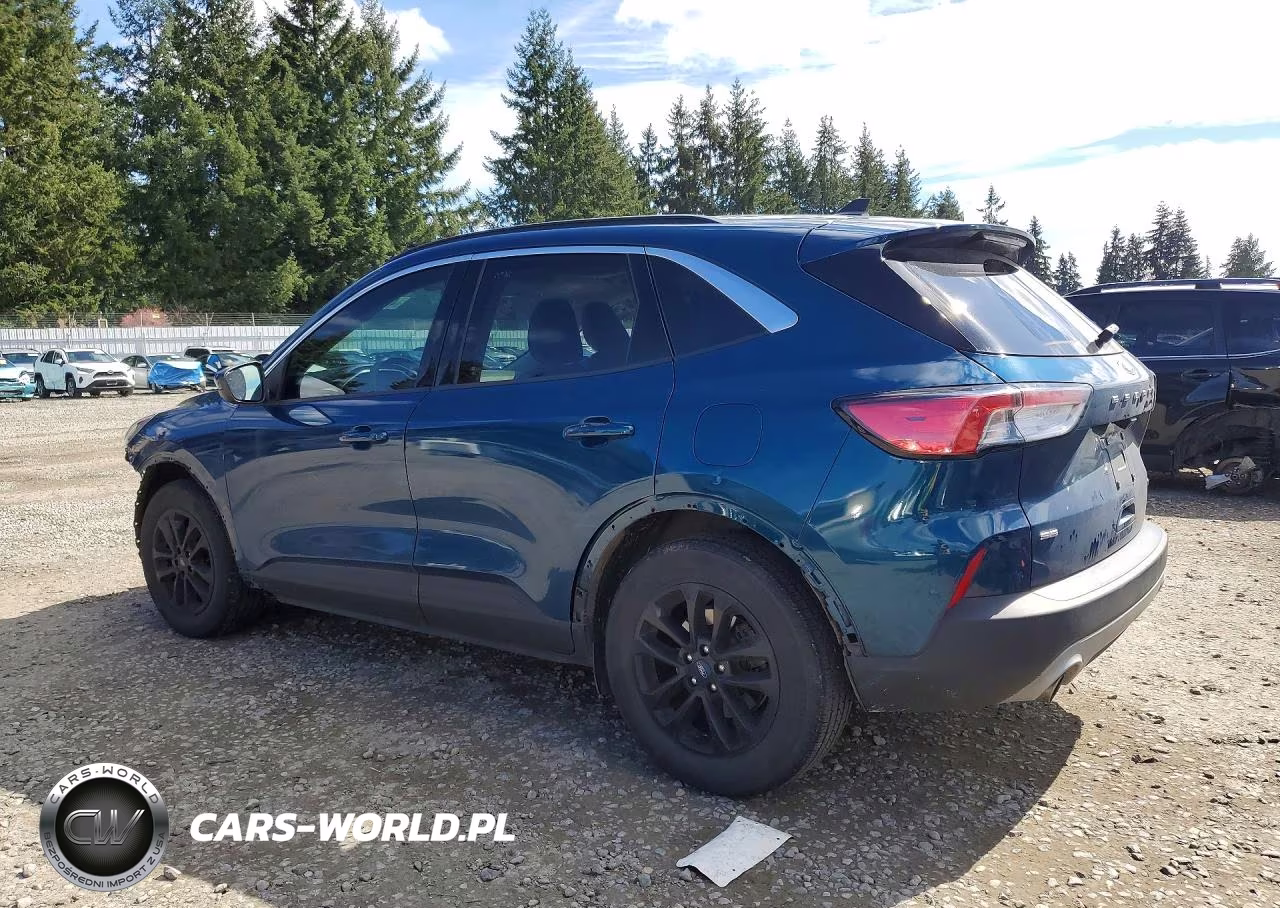 2020 Ford Escape Se VIN:1FMCU0G65LUC10906 - 2
