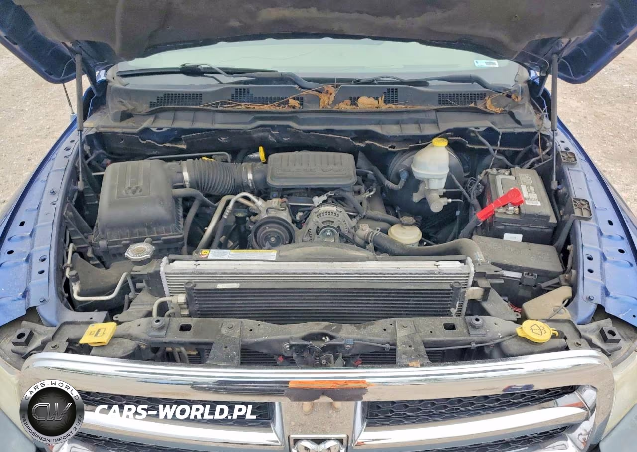 2010 Dodge Ram 1500 VIN:3D7JB1EK3AG110042 - 11
