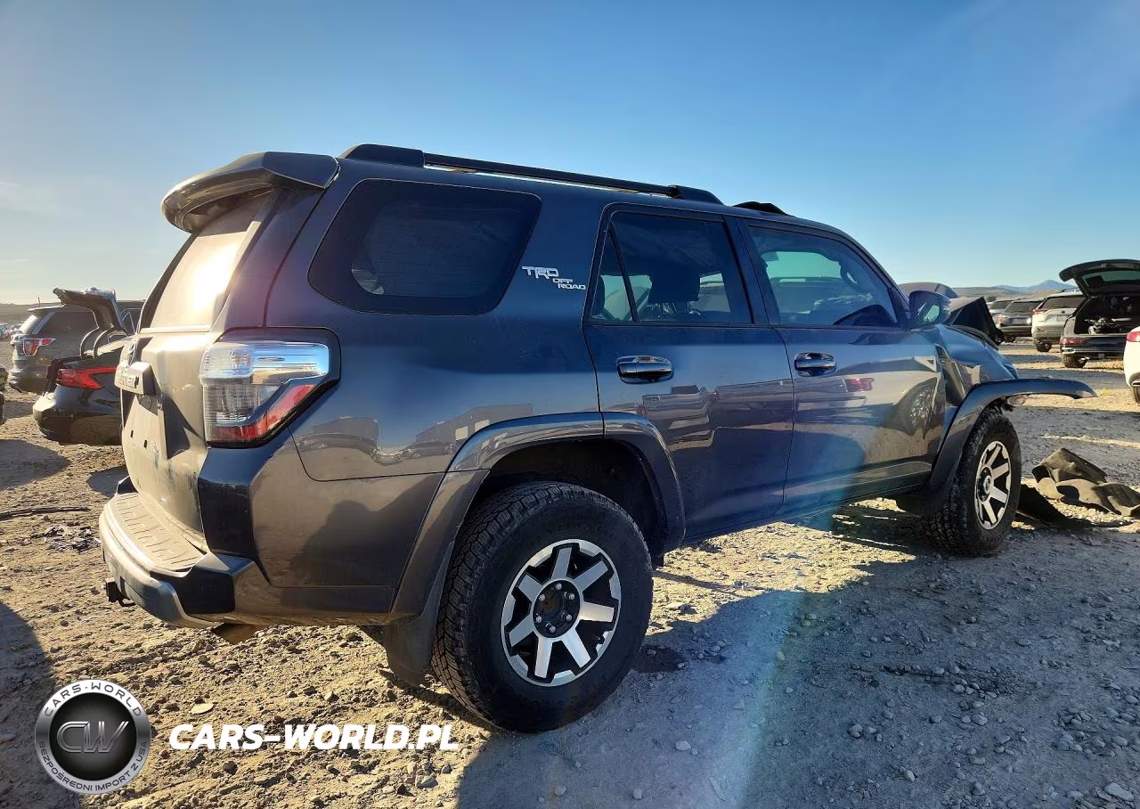 2019 Toyota 4Runner Trd Off-Road Premium VIN:JTEBU5JR1K5716270 - 3