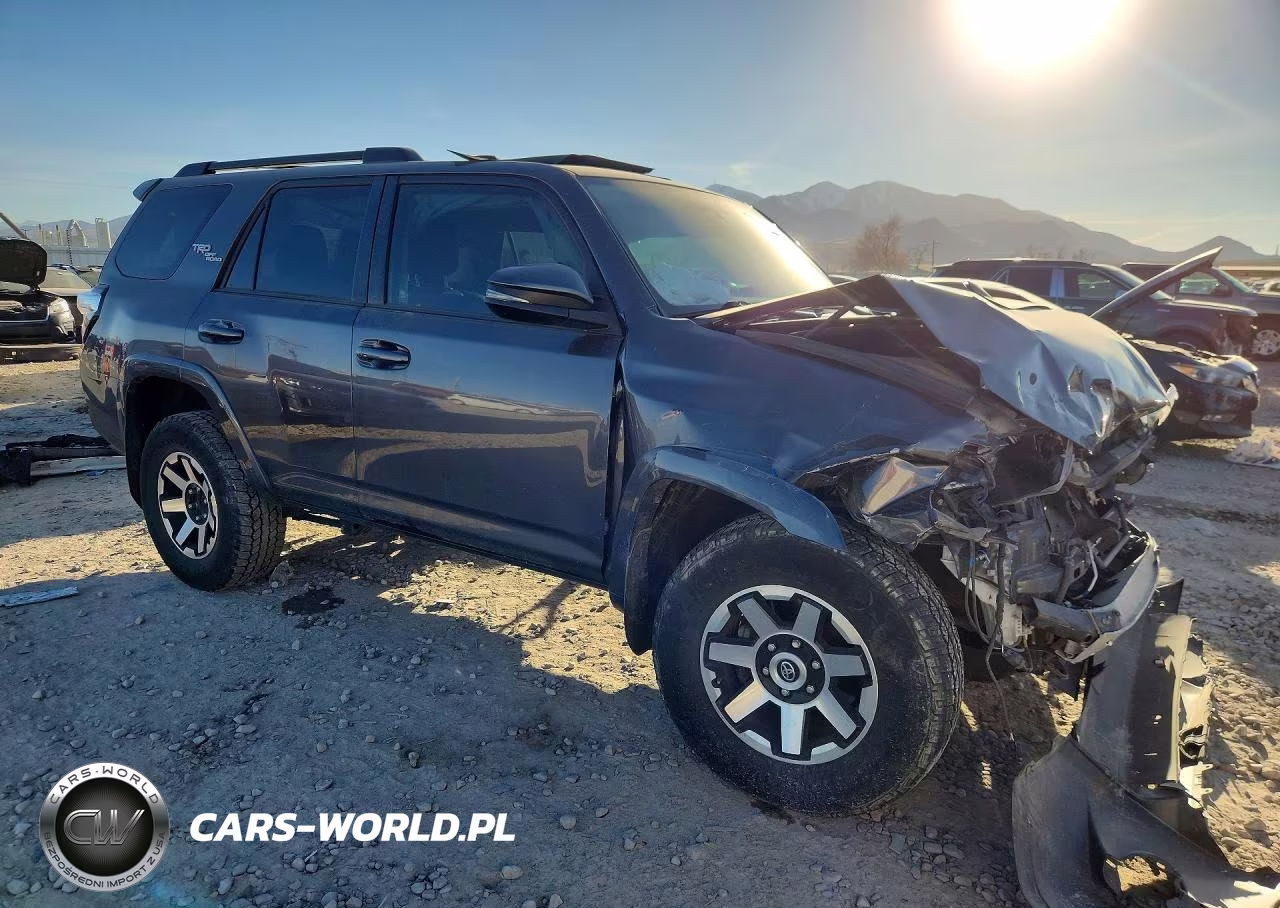 2019 Toyota 4Runner Trd Off-Road Premium VIN:JTEBU5JR1K5716270 - 4