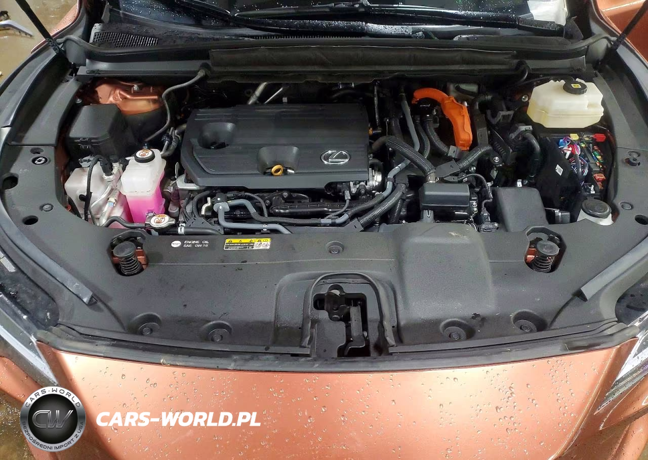 2024 Lexus Rx 350H Premium+ VIN:2T2BBMCA3RC041266 - 11
