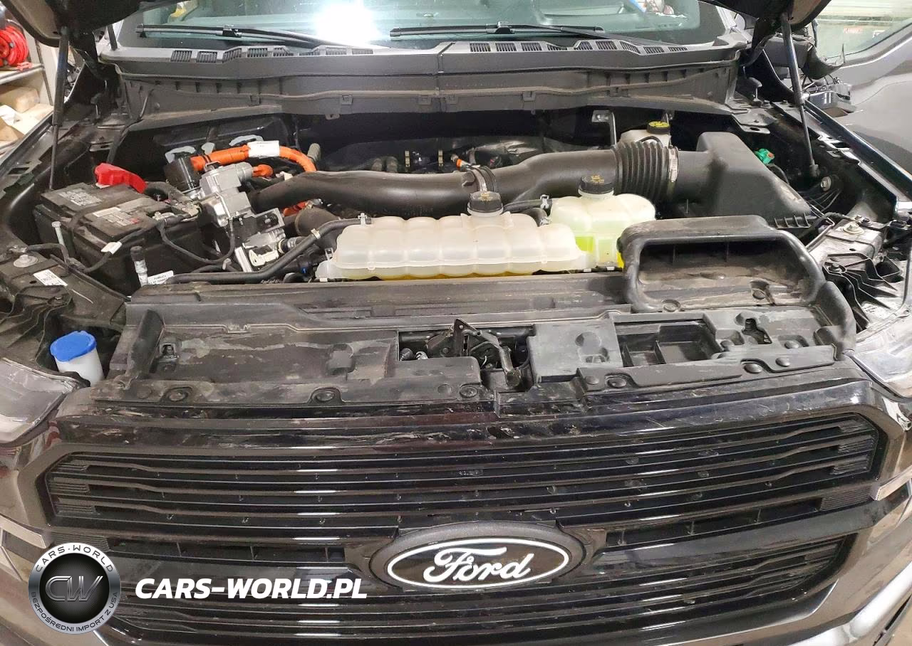 2024 Ford F150 Platinum VIN:1FTFW7LD1RFB75013 - 11