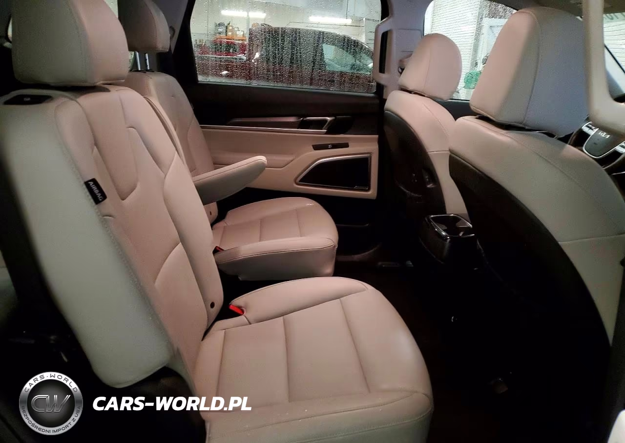 2024 Kia Telluride Ex Awd VIN:5XYP6DGC0RG531985 - 11