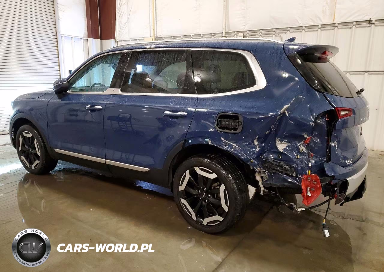 2024 Kia Telluride Ex Awd VIN:5XYP6DGC0RG531985 - 2